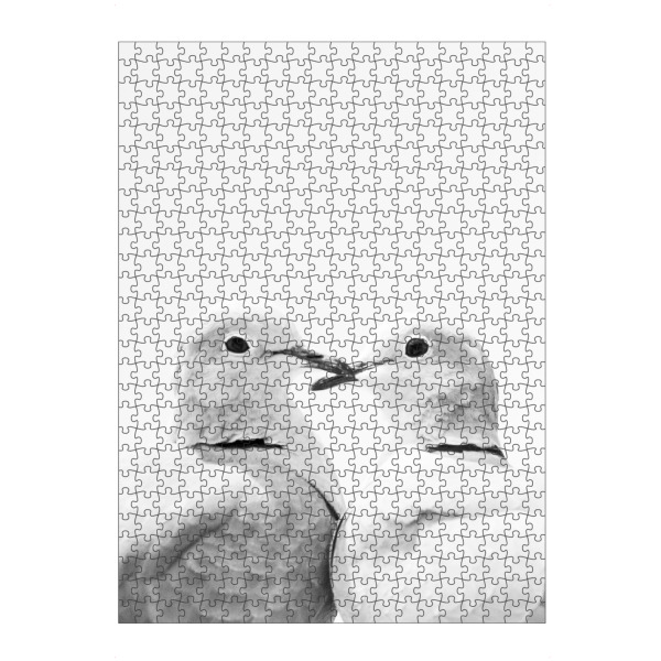 Puzzle Ravensburger "Love Birds" artboxONE - Natur,Tiere,Liebe