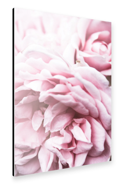 Alu-Dibond "Full Bloom Flowers" 30x20 cm artboxONE