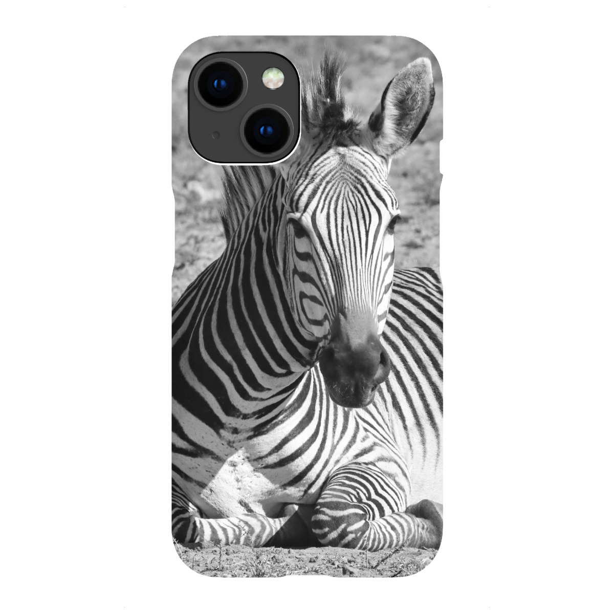 "Zebra relaxed"für iPhone - Premium-Case Handyhülle artboxONE