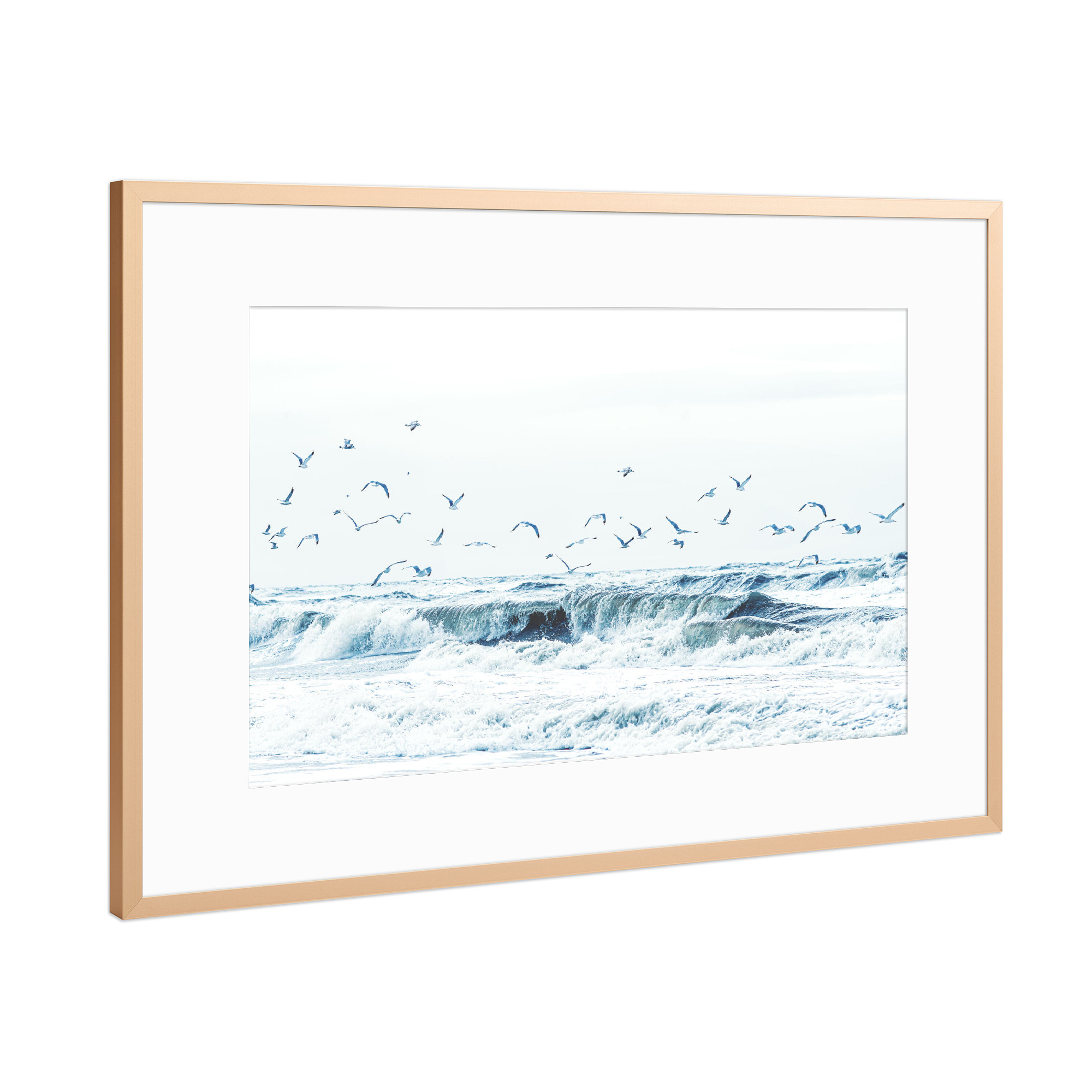 Poster mit Rahmen Kupfer "Apropos Möwe! Möwie noch een" artboxONE - Natur,Reise,Tiere,Reise / Strand und Meer