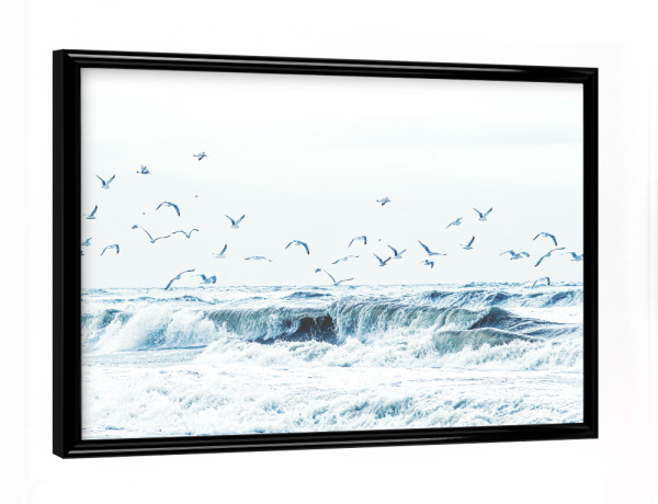 Poster mit schwarzem Rahmen "Apropos Möwe! Möwie noch een" artboxONE - Natur,Reise,Tiere,Reise / Strand und Meer