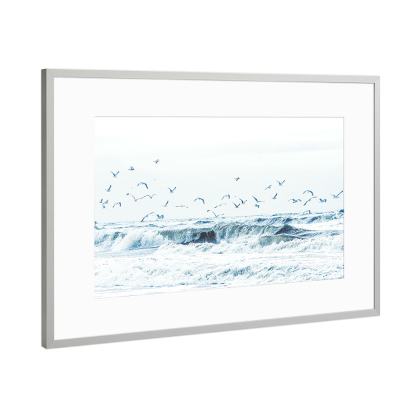 Poster mit Rahmen Silber "Apropos Möwe! Möwie noch een" artboxONE - Natur,Reise,Tiere,Reise / Strand und Meer