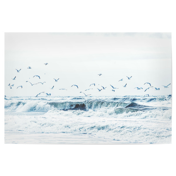 Poster "Apropos Möwe! Möwie noch een" artboxONE - Natur,Reise,Tiere,Reise / Strand und Meer