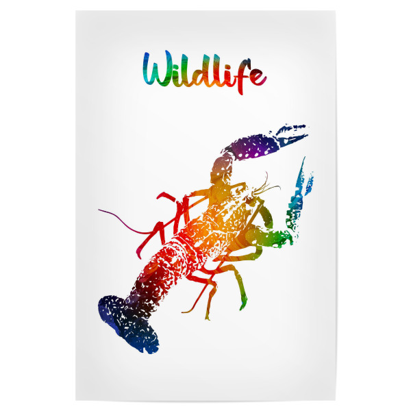 Poster 30x20 cm "Großer Hummer" artboxONE - Tiere - Tiere,Zoo,Aquarium,Meer,Ozean,Natur,Wasser,Wildlife,Bunt,Hummer