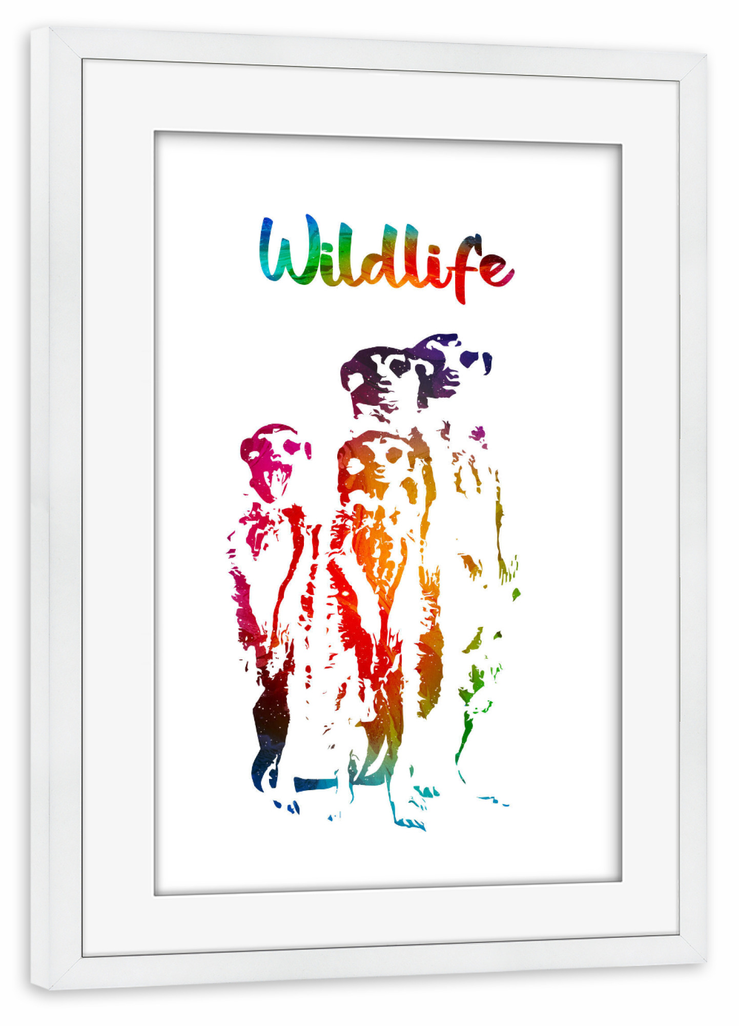 Poster mit Rahmen weiß "Erdmännchen" artboxONE - Tiere - Tiere,Zoo,Wild,Gruppe,Kinder,Familie,Natur,Wildlife,Bunt,Erdmännchen