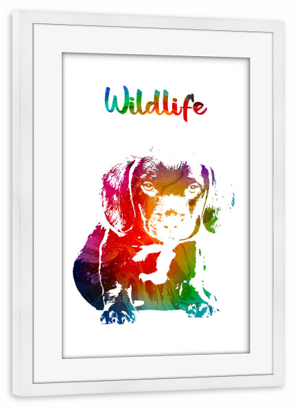 Poster mit Rahmen weiß "Hundewelpe" artboxONE - Tiere - Tiere,Zoo,Wild,Haustier,Kinder,Natur,Wildlife,Welpe,Hund,Bunt