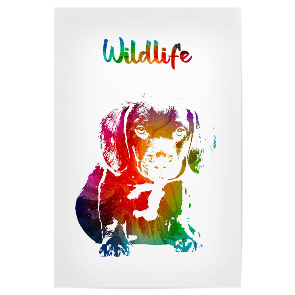Poster 30x20 cm "Hundewelpe" artboxONE - Tiere - Tiere,Zoo,Wild,Haustier,Kinder,Natur,Wildlife,Welpe,Hund,Bunt