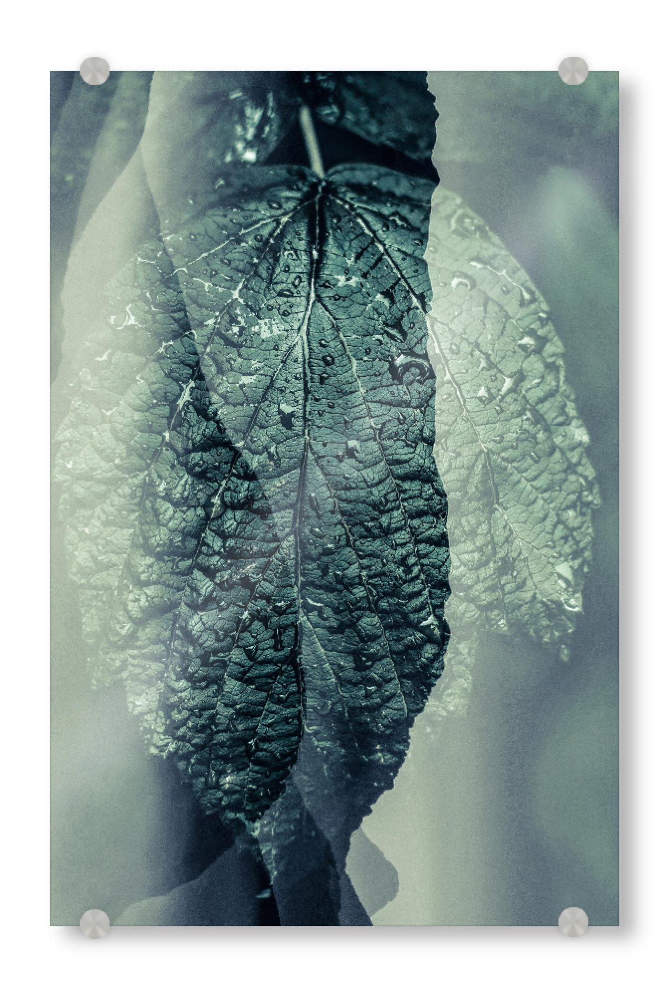 Acrylglasbild "Green IV Tas" artboxONE - Natur,Floral,Abstrakt