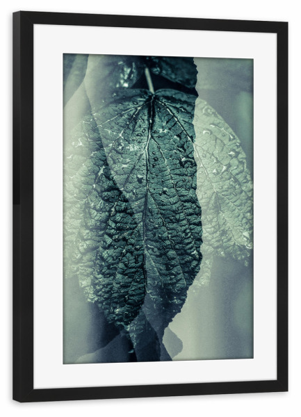 Poster mit Rahmen schwarz "Green IV Tas" artboxONE - Natur,Floral,Abstrakt