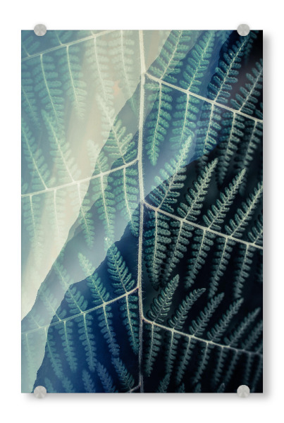 Acrylglasbild "Green II Tas" artboxONE - Natur,Floral,Abstrakt