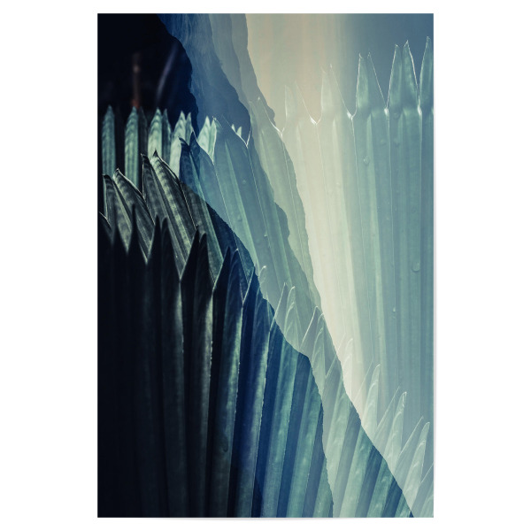 Poster 30x20 cm "Green I Tas" artboxONE - Natur,Floral,Abstrakt