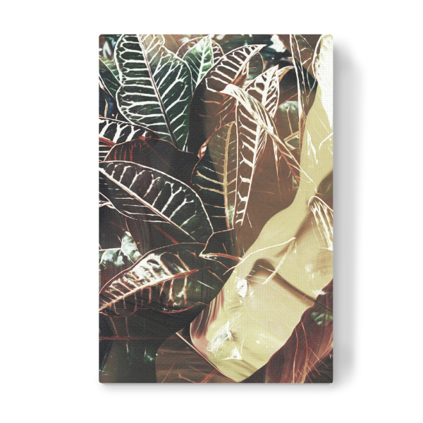 Leinwandbild "Duet III Tas" artboxONE - Natur,Floral,Abstrakt