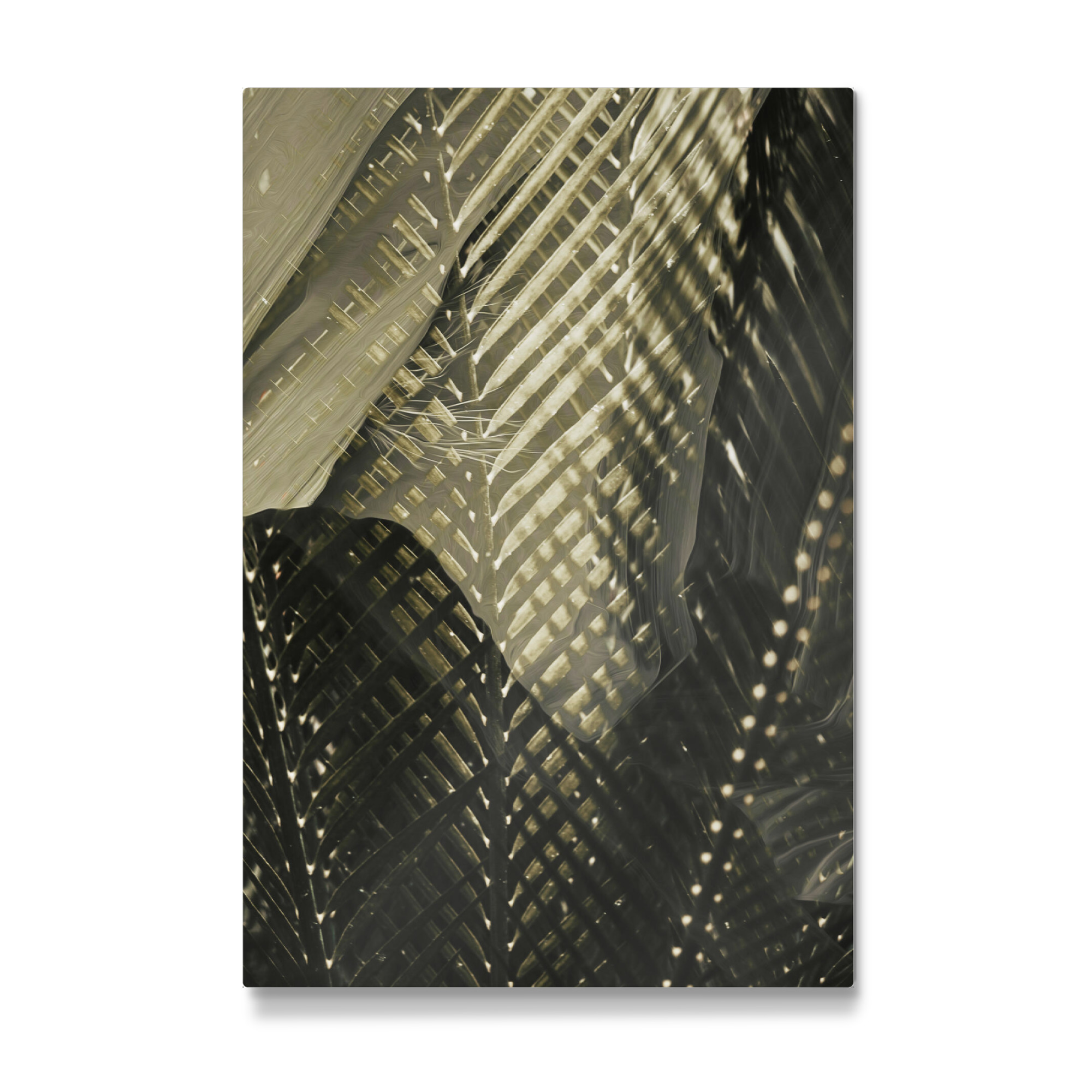 Galerie-Print "Green leaves Tas" 75x50 cm artboxONE
