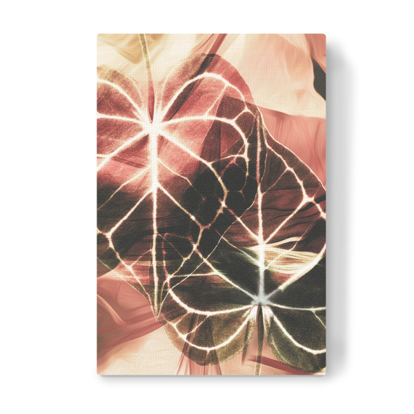 Leinwandbild "Colors IV Tas" artboxONE - Natur,Floral,Abstrakt - Floral,Flowers,Blumen,Abstract,Abstrakt,Texture,Textur,Nature,Natur,Leaf