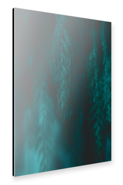 Alu-Dibond "Willow lll" 30x20 cm artboxONE