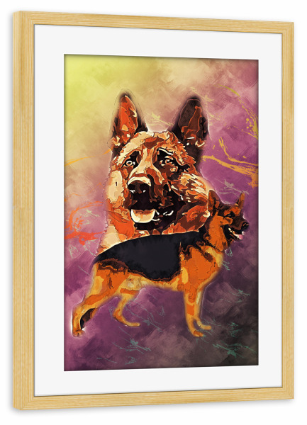 Poster mit Rahmen kiefer "Schäferhund" artboxONE - Tiere - Tier,Rasse,Hund,Wild,Natur,Bunt,Haustier,Freund,Wachhund,Schäferhund
