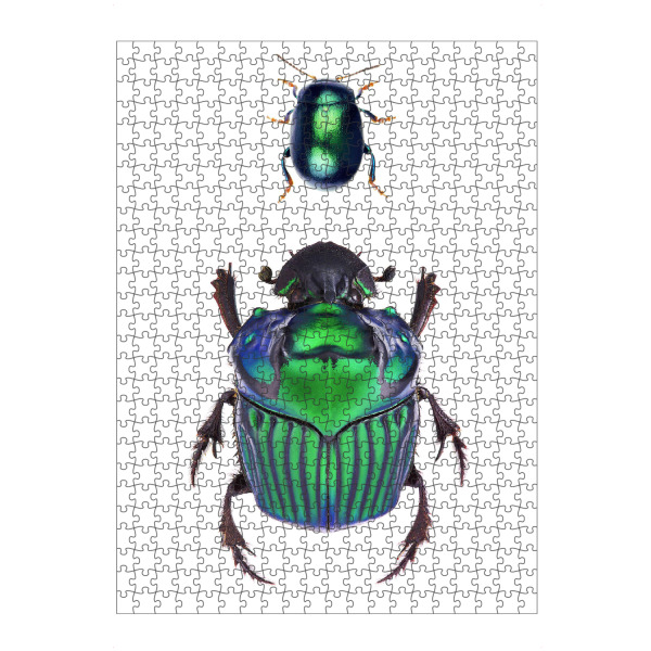 Puzzle Ravensburger "Zwei seltene grüne Käfer" artboxONE - Natur,Tiere