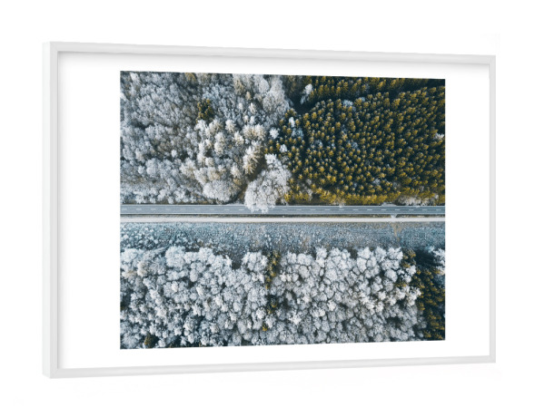 Poster mit weißem Rahmen "SnowGreen" artboxONE - Natur,Reise