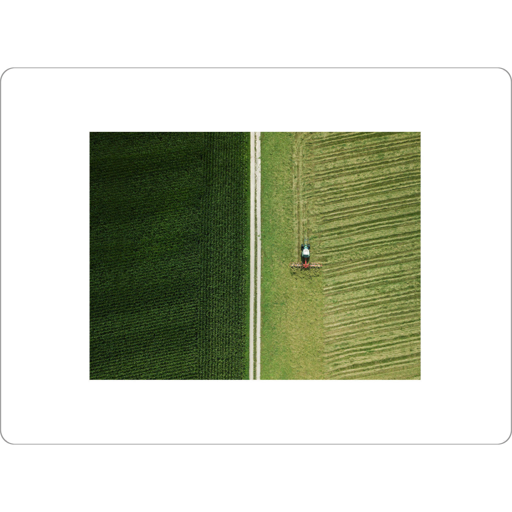 Tischset "Green fields" artboxONE - Natur,Abstrakt
