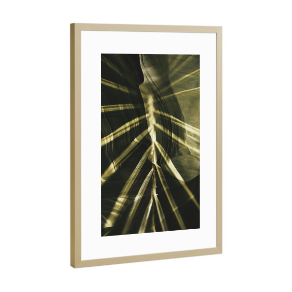 Poster mit Rahmen Gold "Green leaves III Tas" artboxONE - Natur,Floral,Abstrakt