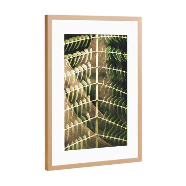 Poster mit Rahmen Kupfer "Green leaves I Tas" artboxONE - Natur,Floral,Abstrakt