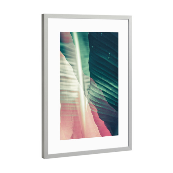 Poster mit Rahmen Silber "Duet tas Pink" artboxONE - Natur,Floral,Abstrakt - Grün,Green,Greenery,Flowers,Floral,Blumen,Tropical,Tropisch,Abstract