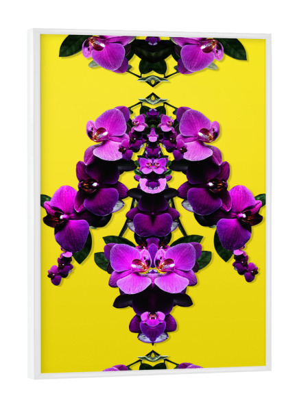 Poster mit weißem Rahmen "Summer of Love" artboxONE - Natur,Floral,Abstrakt