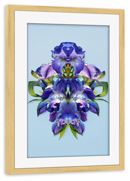 Poster mit Rahmen kiefer "Nature ́s Perfection" artboxONE - Natur,Floral,Abstrakt