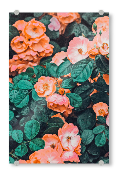Acrylglasbild "Vintage Blossom-II" artboxONE - Floral