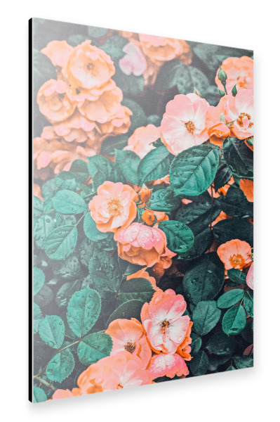 Alu-Dibond "Vintage Blossom-II" 30x20 cm artboxONE
