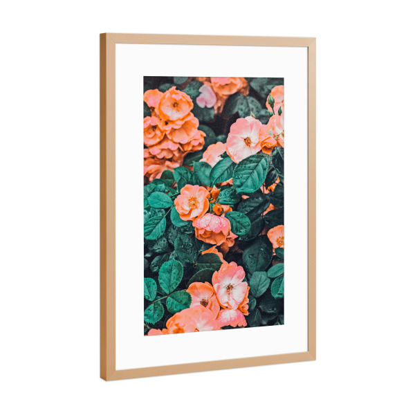 Poster mit Rahmen Kupfer "Vintage Blossom-II" artboxONE - Floral