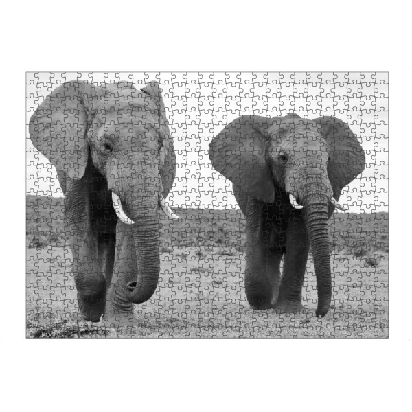 artboxONE Puzzle "Zwei Elefanten Männchen" artboxONE - Natur,Tiere,Schwarzweiß,Reise / Afrika - Elefanten,Afrika,Elefantenbullen,Tiere,Nature