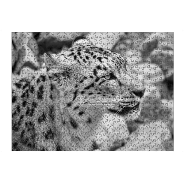 artboxONE Puzzle "Schneeleopard" artboxONE - Natur,Tiere,Schwarzweiß,Reise / Asien - Schneeleopard,Leopard,Katze,Animals,Nature