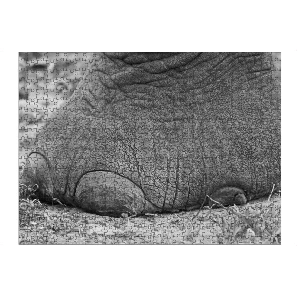 Puzzle Ravensburger "Elefanten Vorderfuß" artboxONE - Natur,Tiere,Schwarzweiß,Reise / Afrika - Elefant,Elefantenfuß,Afrika,Animal,Nature,Foot
