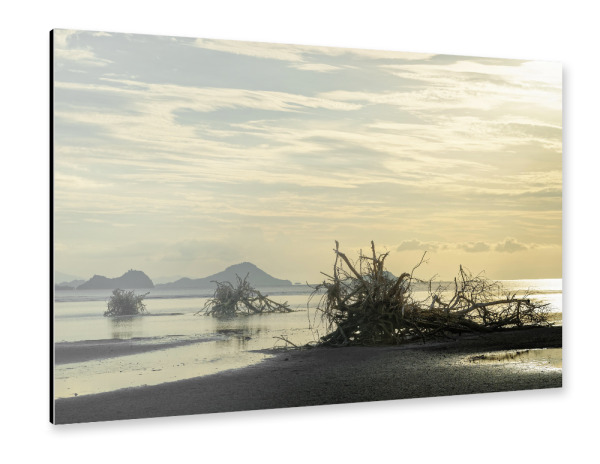 Alu-Dibond "Baumwurzeln am Strand" 30x20 cm artboxONE