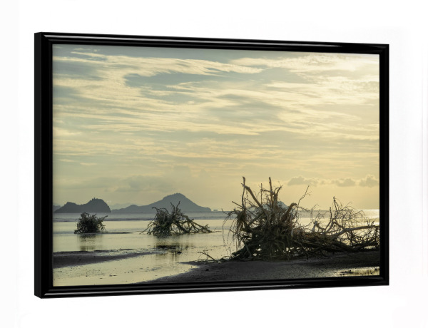 Poster mit schwarzem Rahmen "Baumwurzeln am Strand" artboxONE - Natur,Reise / Strand und Meer,Reise / Asien