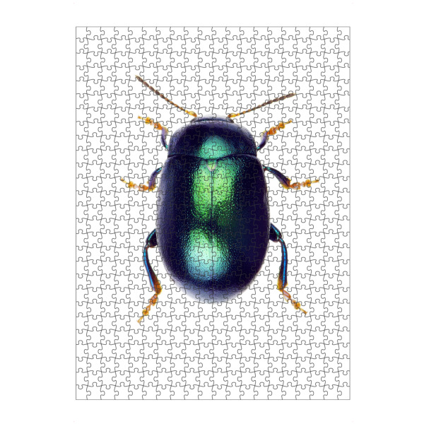 artboxONE Puzzle "Chrysolina herbacea - Käfer" artboxONE - Natur,Tiere