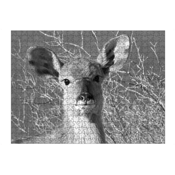 Puzzle Ravensburger "Junges Nyala" artboxONE - Natur,Tiere,Schwarzweiß,Reise / Afrika - Nyala,Antilope,Afrika,Tiere,Wild,Nature - Bild nyala