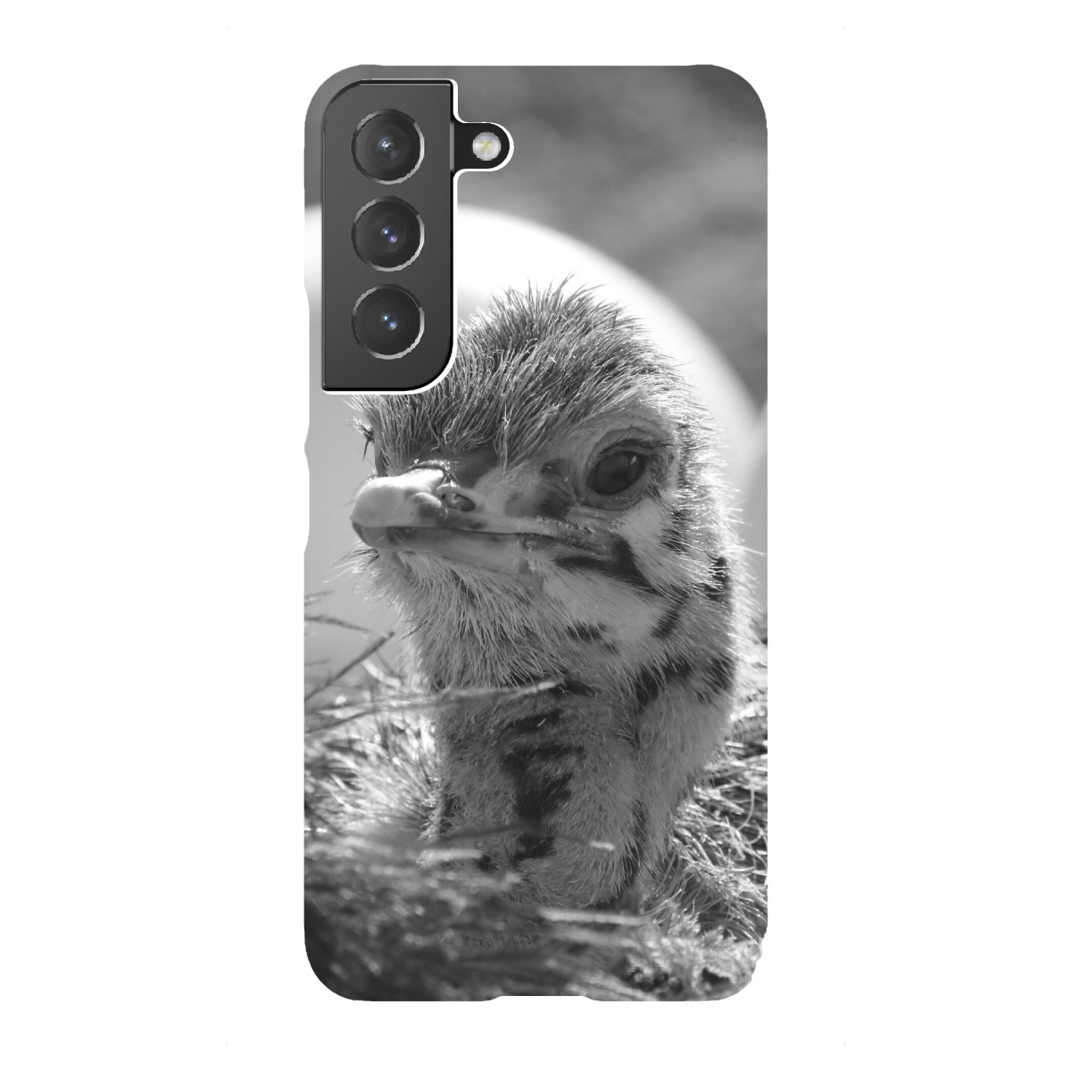 "Baby Strauss im Nest"für Samsung Galaxy - Premium-Case Handyhülle artboxONE
