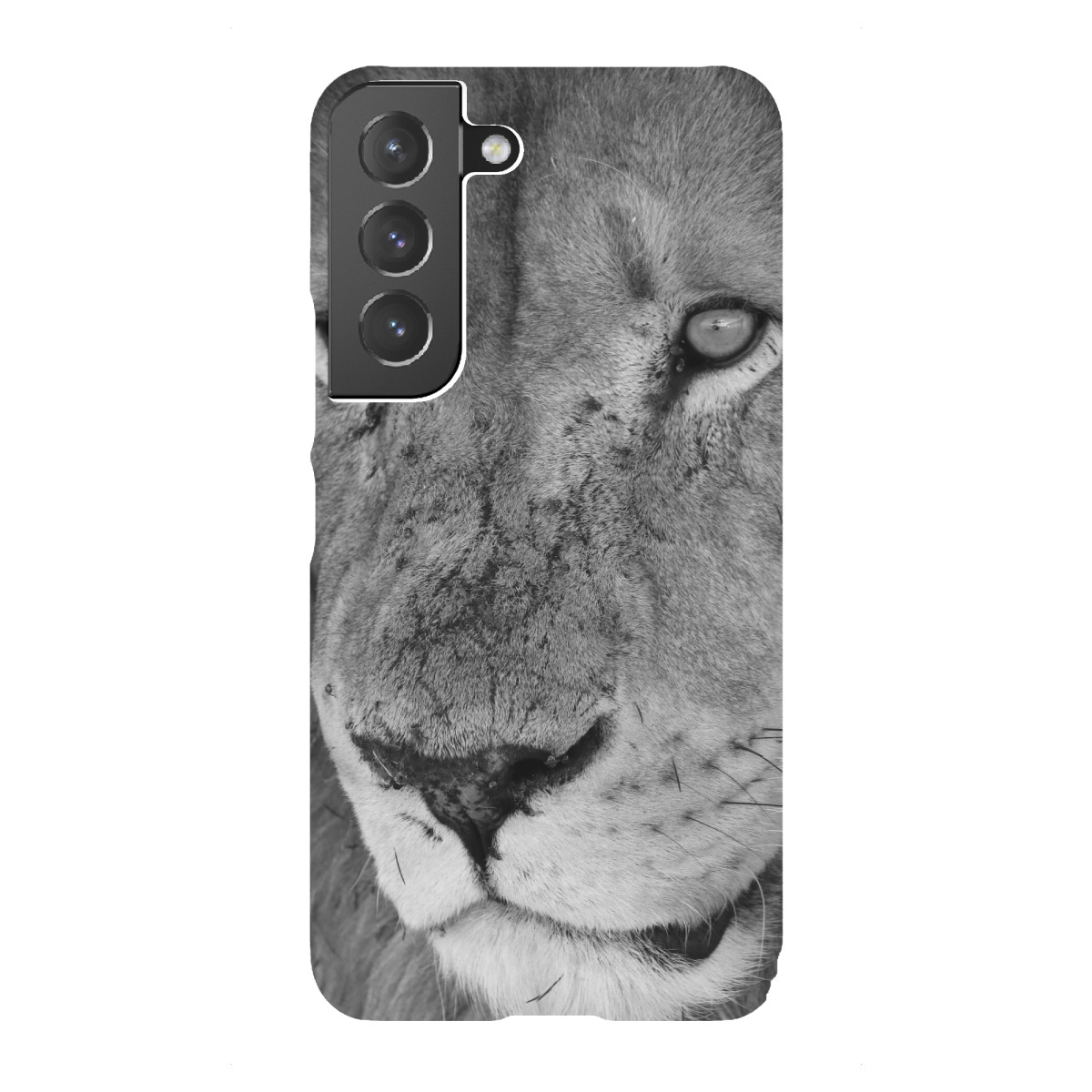 Samsung Galaxy "Löwen Männchen Nahaufnahme" Premium-Case Handyhülle artboxONE