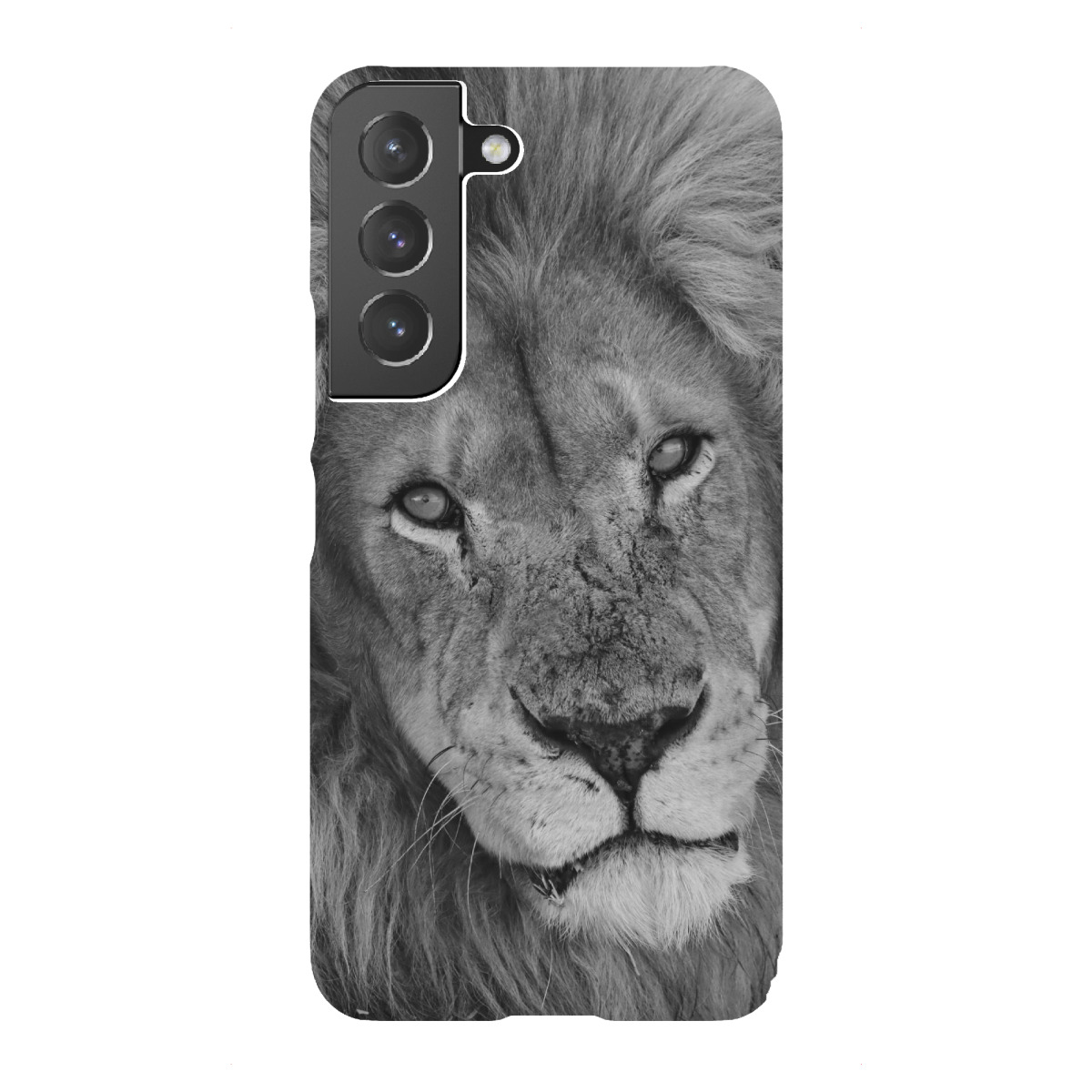 "Löwen Männchen in Afrika"für Samsung Galaxy - Premium-Case Handyhülle artboxONE