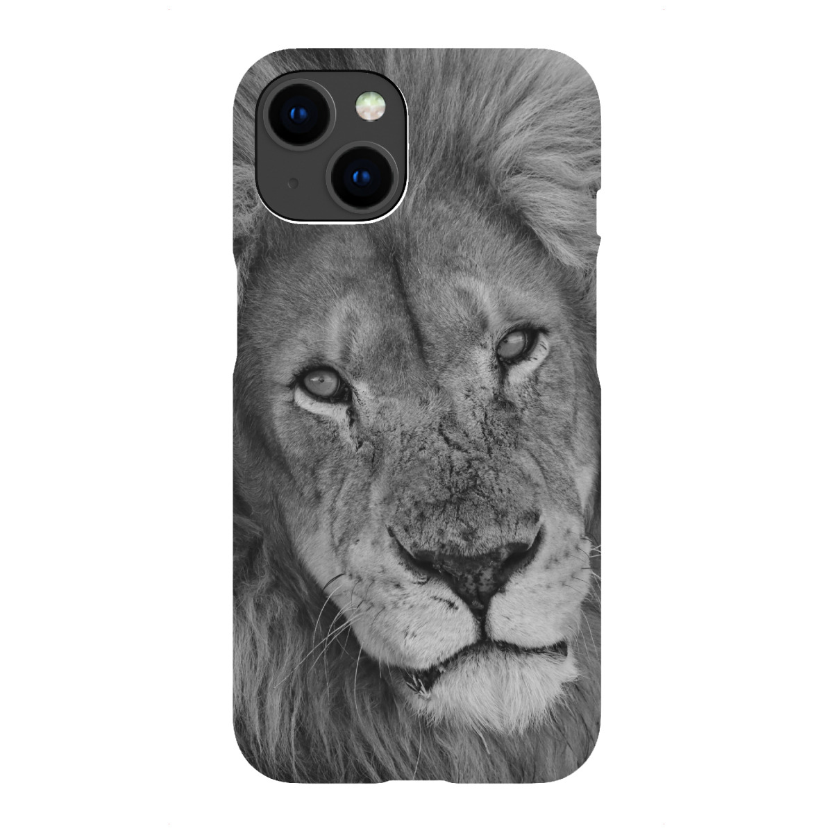 iPhone "Löwen Männchen in Afrika" Premium-Case Handyhülle artboxONE