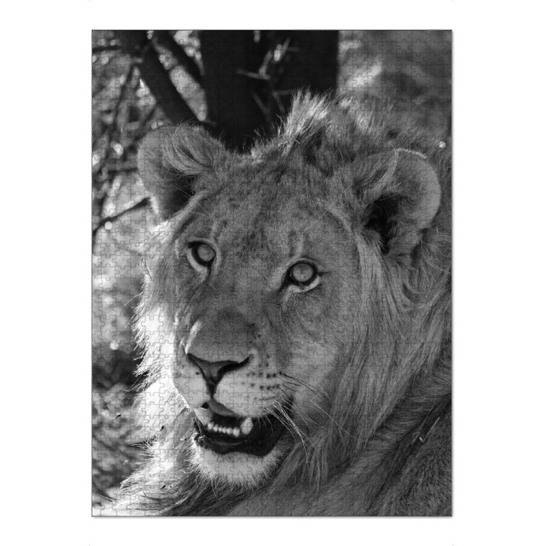 Puzzle Ravensburger "Junges Löwen Männchen in Afrika" artboxONE - Natur,Tiere,Schwarzweiß,Reise / Afrika