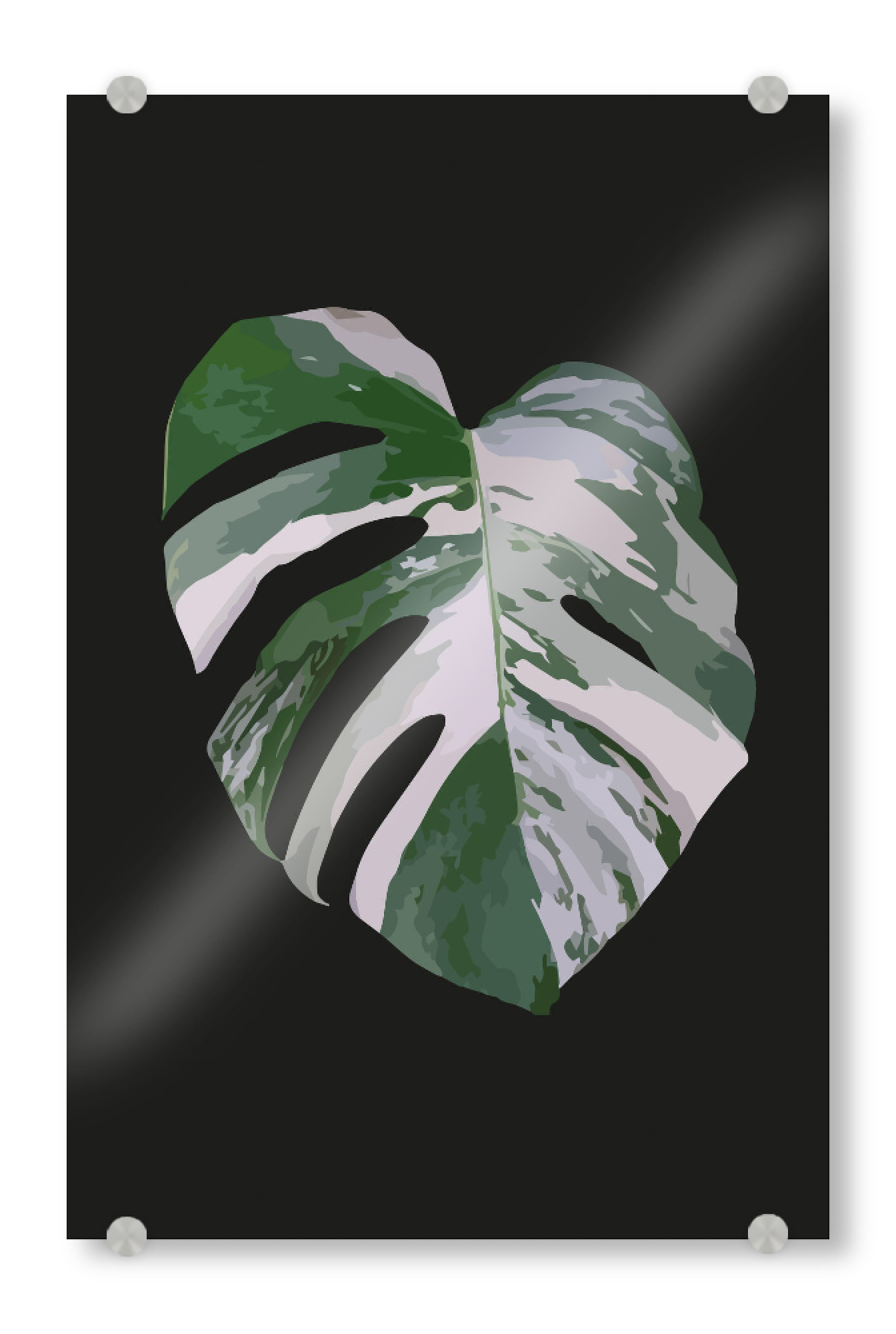 Acrylglasbild "Monstera Variegata" artboxONE - Natur,Floral