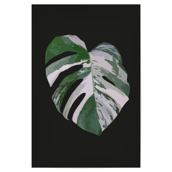 Poster 30x20 cm "Monstera Variegata" artboxONE - Natur,Floral