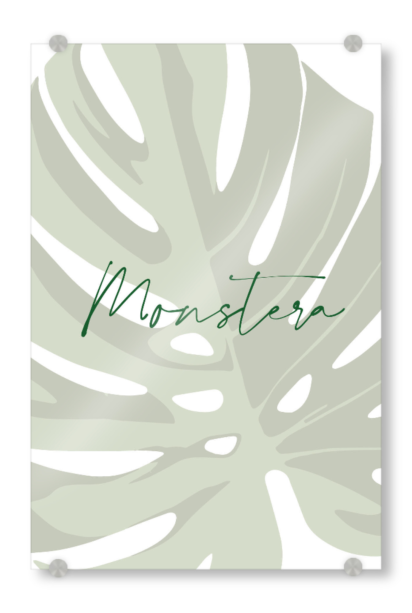 Acrylglasbild "Monstera Plant" artboxONE - Typografie,Natur,Floral