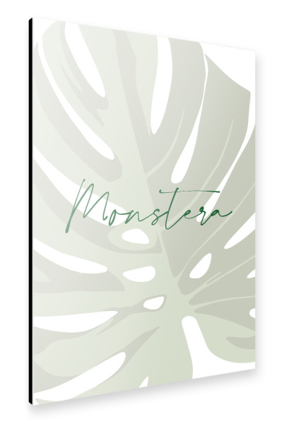 Alu-Dibond "Monstera Plant" 30x20 cm artboxONE