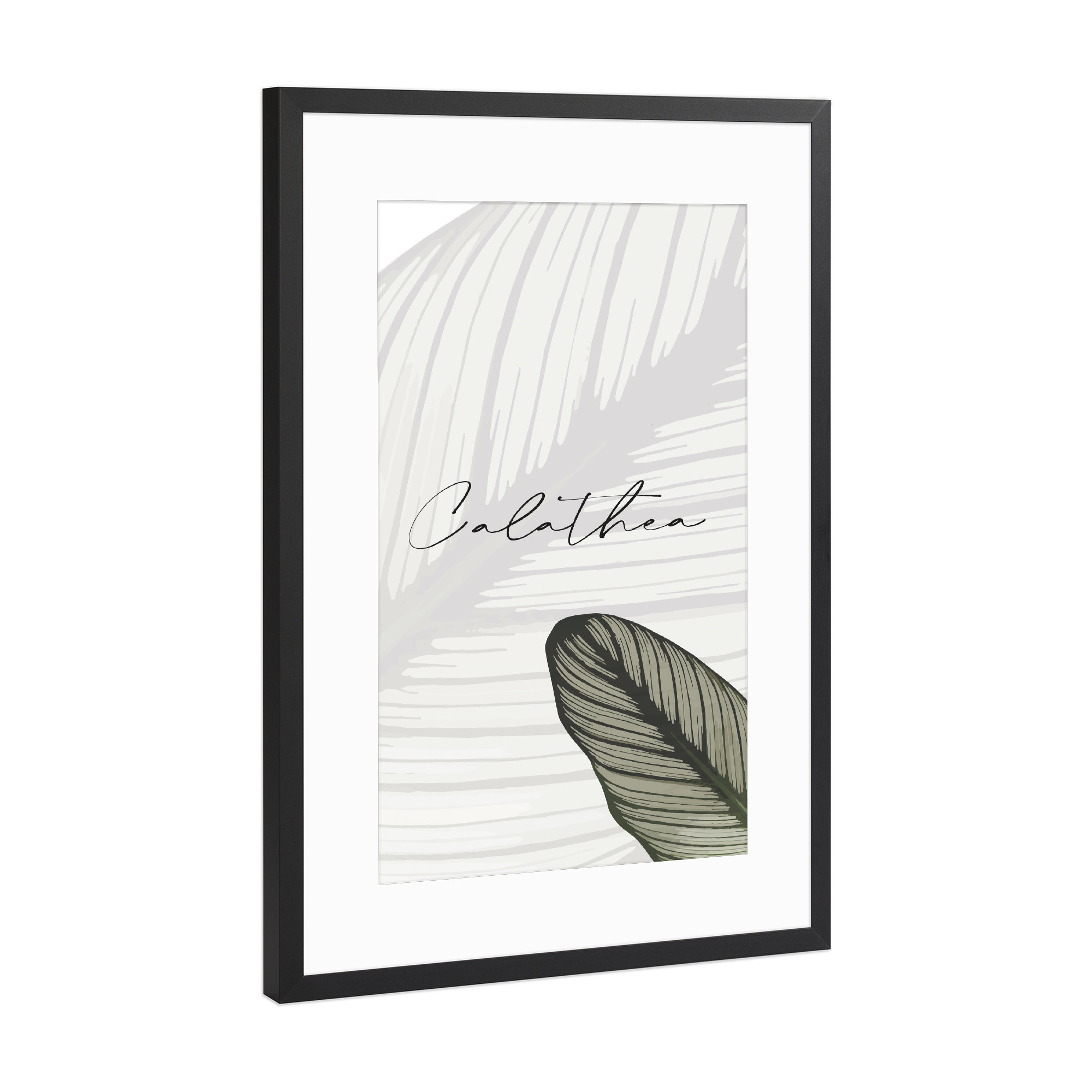 Poster mit Rahmen Schwarz (Metallic) "Calathea Pflanzen" artboxONE - Typografie,Natur,Floral