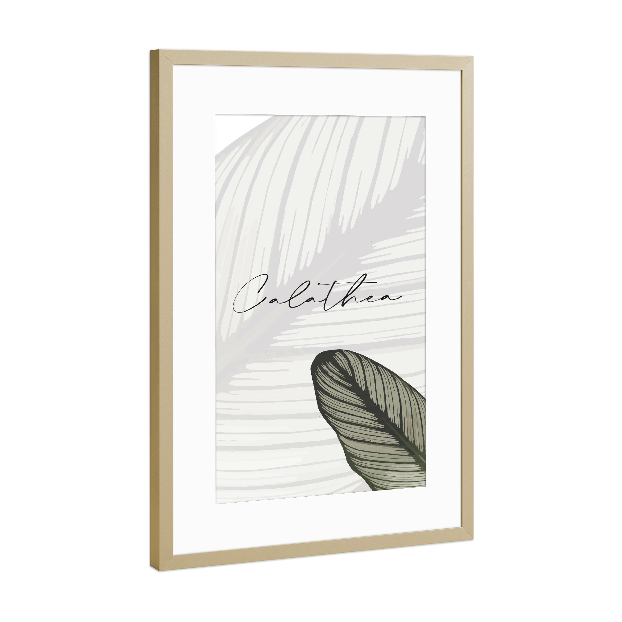 Poster mit Rahmen Gold "Calathea Pflanzen" artboxONE - Typografie,Natur,Floral