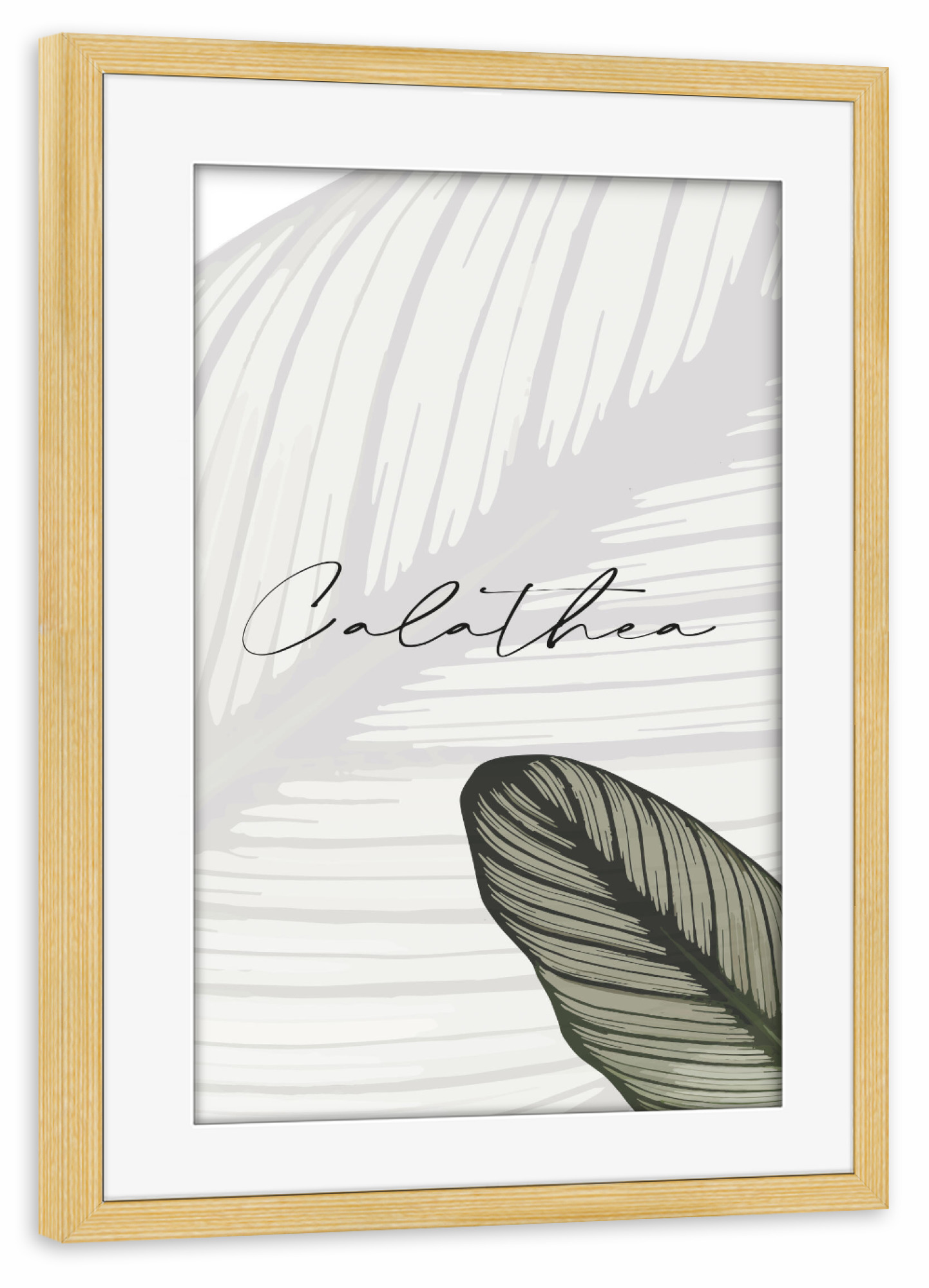 Poster mit Rahmen kiefer "Calathea Pflanzen" artboxONE - Typografie,Natur,Floral
